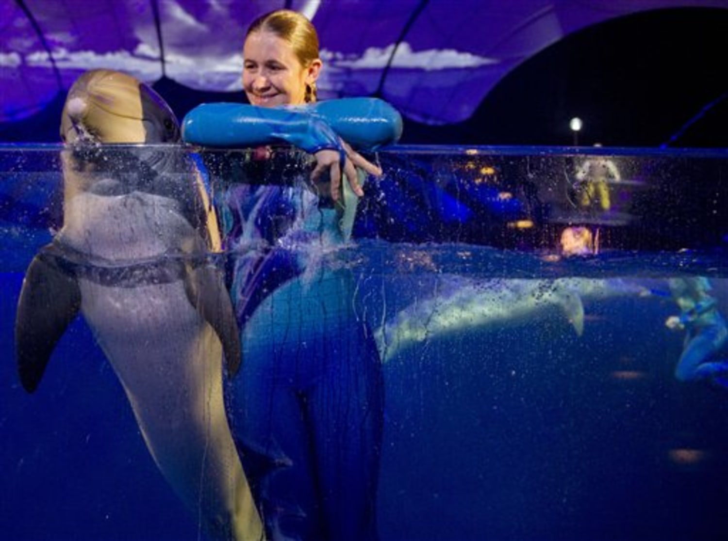 Broadway-style dolphin show set to open in Ga.